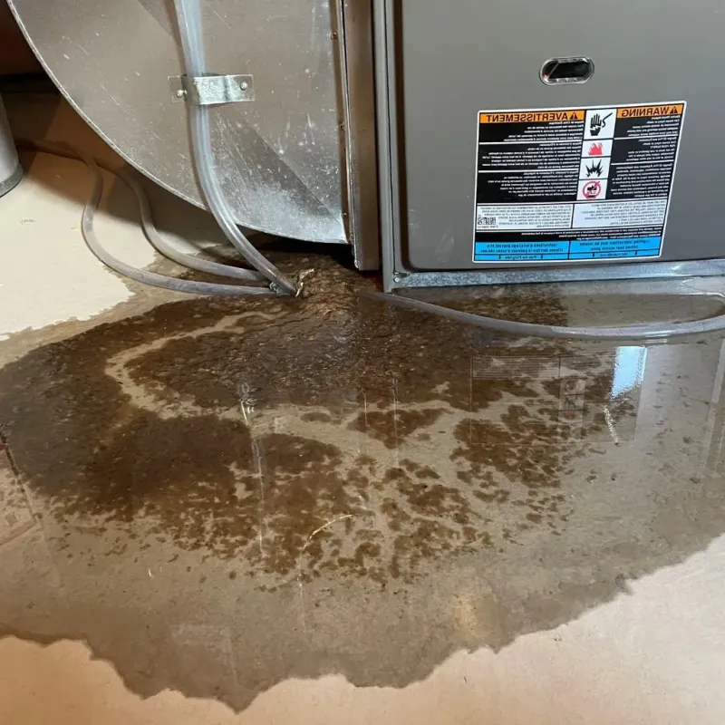 Pipe Burst and Leak Restoration in Pocahontas, IA